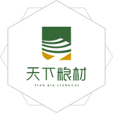 大骚逼茹影院